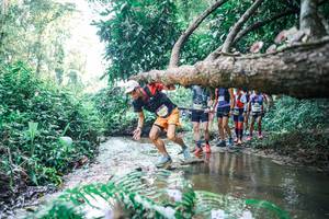 BIB: 
                            <button type="button" onclick="openModal(25443768)" class="btn btn-primary btn-sm float-right btn-popup" data-toggle="modal" data-target=".modal-high-quality">
                        <i class="fas fa-shopping-cart"></i> Add to Cart
                    </button>
                                            <button type="button" onclick="isThisMe(25443768, true)" class="btn btn-success btn-sm float-right btn-popup btn-isme hidden" data-toggle="tooltip" data-placement="bottom" title="นี่คือรูปของคุณใช่ไหม คลิกที่นี่เพื่อเอาเข้าอัลบั้ม">
                        <i class="fas fa-plus"></i> Add to album
                    </button>
                    <button type="button" onclick="isThisMe(25443768, false)" class="btn btn-warning btn-sm float-right btn-popup btn-isnotme hidden">
                        <i class="fas fa-ban"></i> Remove from album
                    </button>